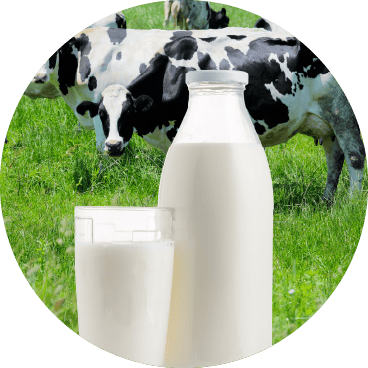 raw-milk